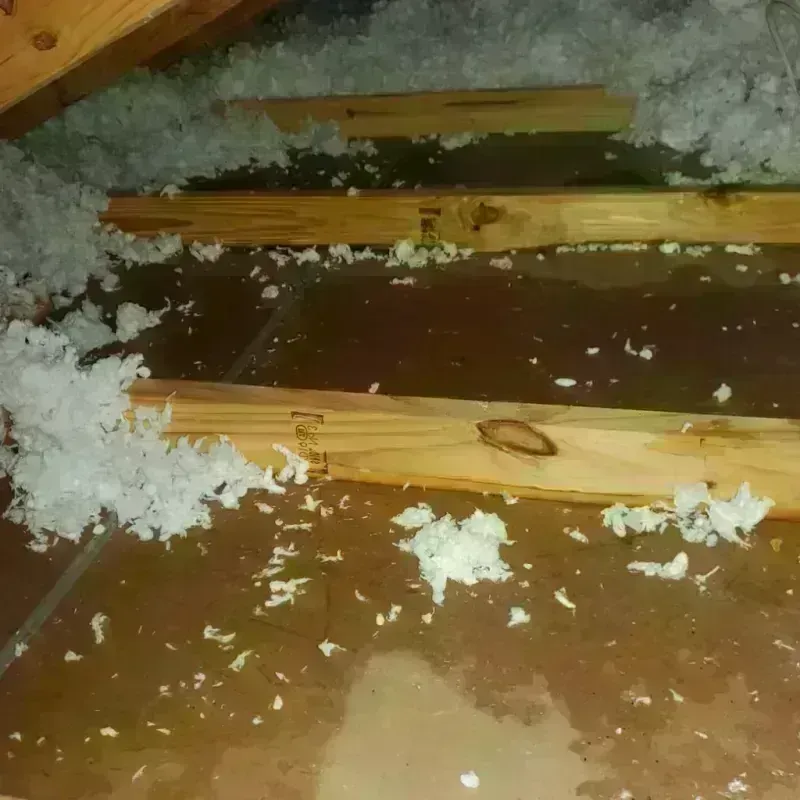 Attic Water Damage in Ackley, IA